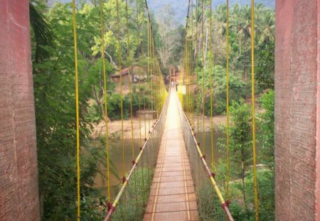 Wood Bridge - karnataka, wood bridge, bridge, vikash yadav