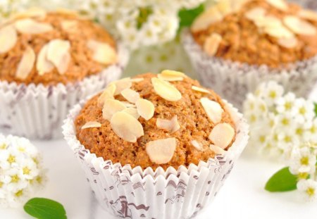 Cupcake - cupcake, sweets, food, nuts