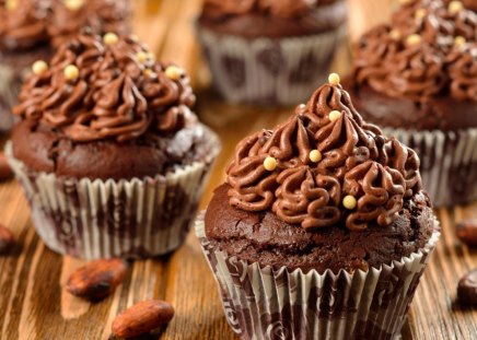 Chocolate cupcakes