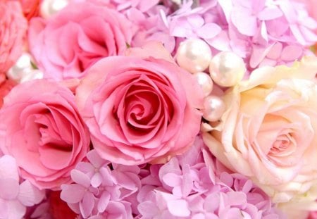 Flowers - roses, pink, petals, flowers, pearl, nature