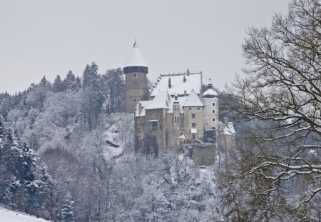 castle on a grey winter day - winter, hill, forest, castle