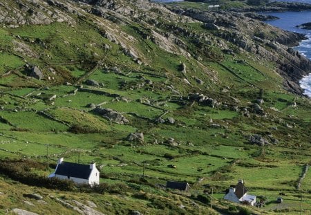 farms on derrynane bay in ireland - hills, fields, rocks, farms, bay