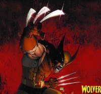 WOLVERINE IN RAGED