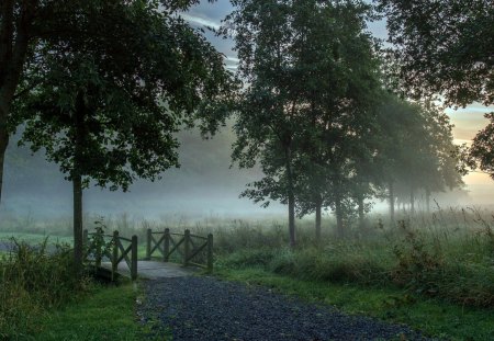 miniature bridge in morning mist - morning, trees, trail, brook, bridge, mist