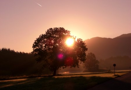 ★ - sunset, nature, awesome, red, tree, sun