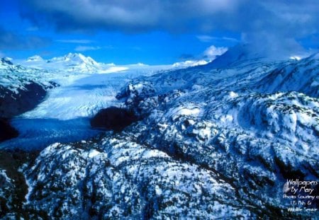 Snowy Glacier - nature, glaciers, snow, blue, winter, glacier