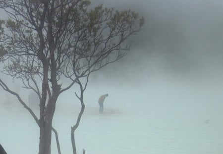 Man in Fog - ade, adela, adele, adera