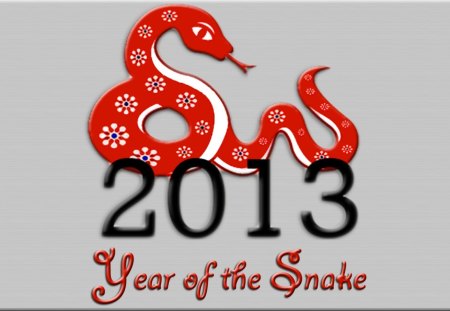 Chinese New Year-Year of the Snake - new year, silver, chinese new year, snake, chinese