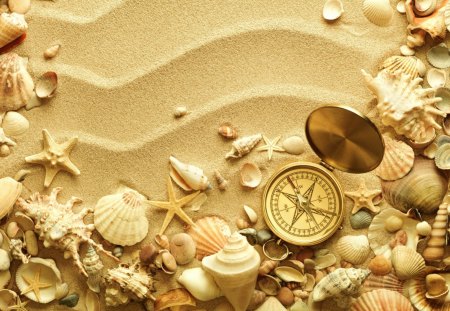 *** Beach *** - shells, ocean, nature, beach