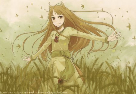 Holo - tail, girl, long hair, wolf ears, spice and wolf, anime, dress, birds, holo