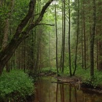 Korvemaa Nature Park in Estonia