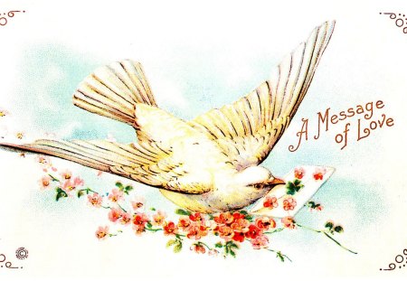 A message of love - bird, blue, dove, retro, animal, message, fly, red, letter, love, flower, white, green, wings, vintage, valentine, day