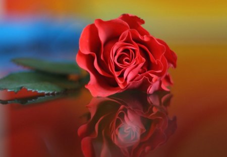 Red rose - love, day, valentine, leaf, rose, nature, red, green, flower