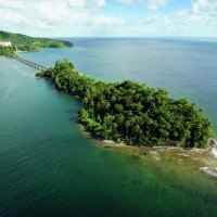 bridge to little palm island