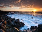 rugged coast in hawaii at sunset