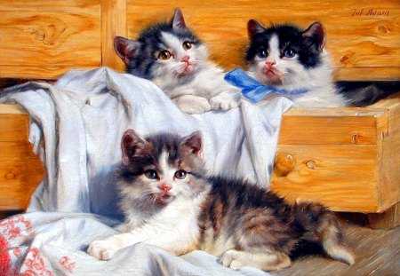 Three fluffy kittens - beautiful, sweet, three, playing, kittens, painting, cute, cats, friends, adorable, box, kitties