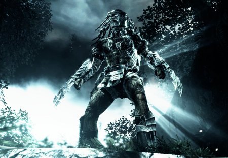 THE PREDATOR - PREDATOR, HUNTER, CREATURE, LOOKING FOR PREY