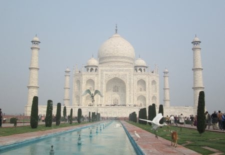 TAJ MAHAL - aman, amit, asif, sharad