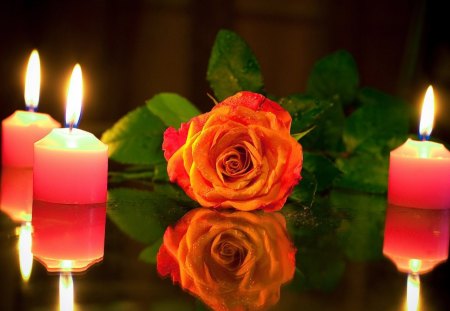 Romatic♥Valentine's♥Evening - romantic, romance, love, still life, fire, Valentines Day, rose, Valentine, flames, candles, Valentines