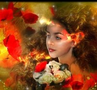 **RED POPPIES FAIRY**