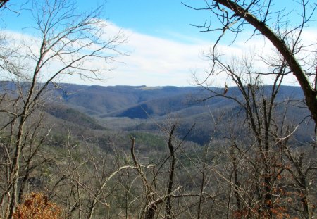 Mountains in Newton County - ozark mountains, national forest, nature, Buffalo River