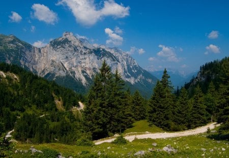 karwendel range of the alps in austria - forest, mountains, meadow, trail