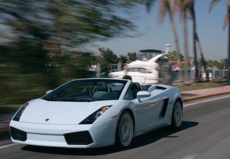 lamborghini speeding by a marina - car, road, marina, blue, speed