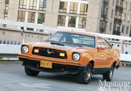 Orange Crush - orange, classic, black, 1976