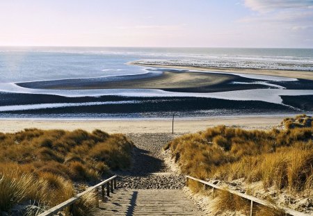 steps leading to beach at maasvlakte holland - sea, grass, steps, beach