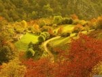 farm in a valley forest in autumn