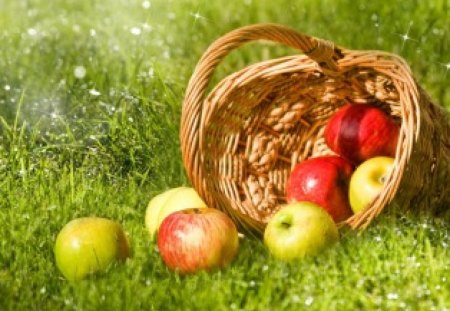 spilled from the basket - apples, summer, glarry, harvest, grass, ripe, joy