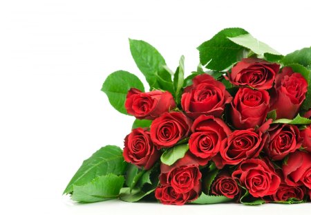 Roses - roses, for you, moments, special, superlative, red roses, romance, lovely, cool, bouquet, flowers, red, valentine, day