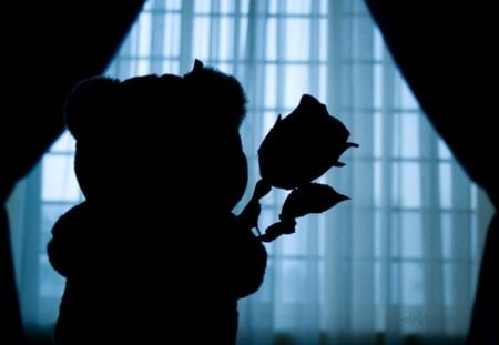 â™¥  Happy Valentine's Day All! â™¥ - silhouette, window, roses, blue, valentine day, teddy bear, cute, shadow