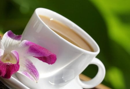 Coffee - coffee beans, morning, coffee, beautiful, lovely, photography, love, cup