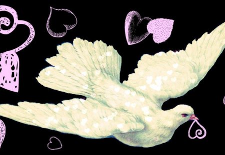 Messenger of love - love, cehenot, dove, messenger, heart, day, valentine, black, white, pink