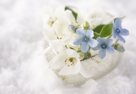 Delicate petals - white, delicate, petals, heart, flowers