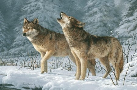 Wolves in Winter - wolf, predators, painting, nature, snow