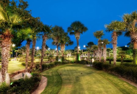 mini golf course among the palms - trees, lights, grass, night, golf