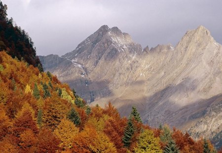 the pyrenees mountains in spain - stark, forest, mountains, autumn