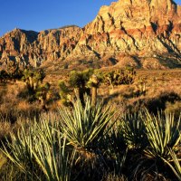 red rock canyon in nevada