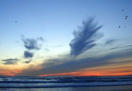 lovely sunset on a sea horizon - ship, sunset, sea, waves, birds