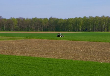 field - field, fun, forest, nature