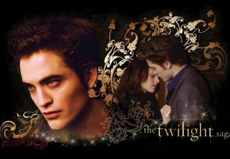 The Twilight Saga