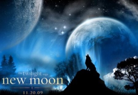 New Moon - moon, fantasy, Twilight saga, wolf, movies, entertainment, New Moon