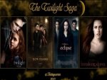 The Twilight Saga