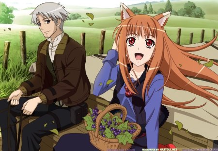 ~On The Road Again~ - basket, anime, Kraft Lawrence, wagon, spice and wolf, holo