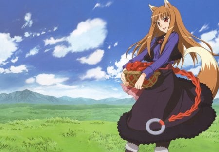 ~Holo~ - sky, landscape, clouds, holo, fields, anime, spice and wolf