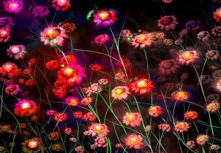 GLOWING FLOWERS - flowers, colors, light, art