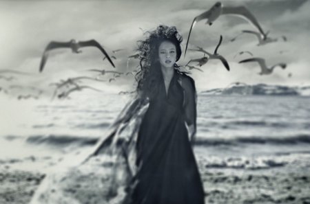 Resurrection - Woman, Gulls, Photography, Black and white