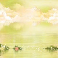 Fantasy Nature